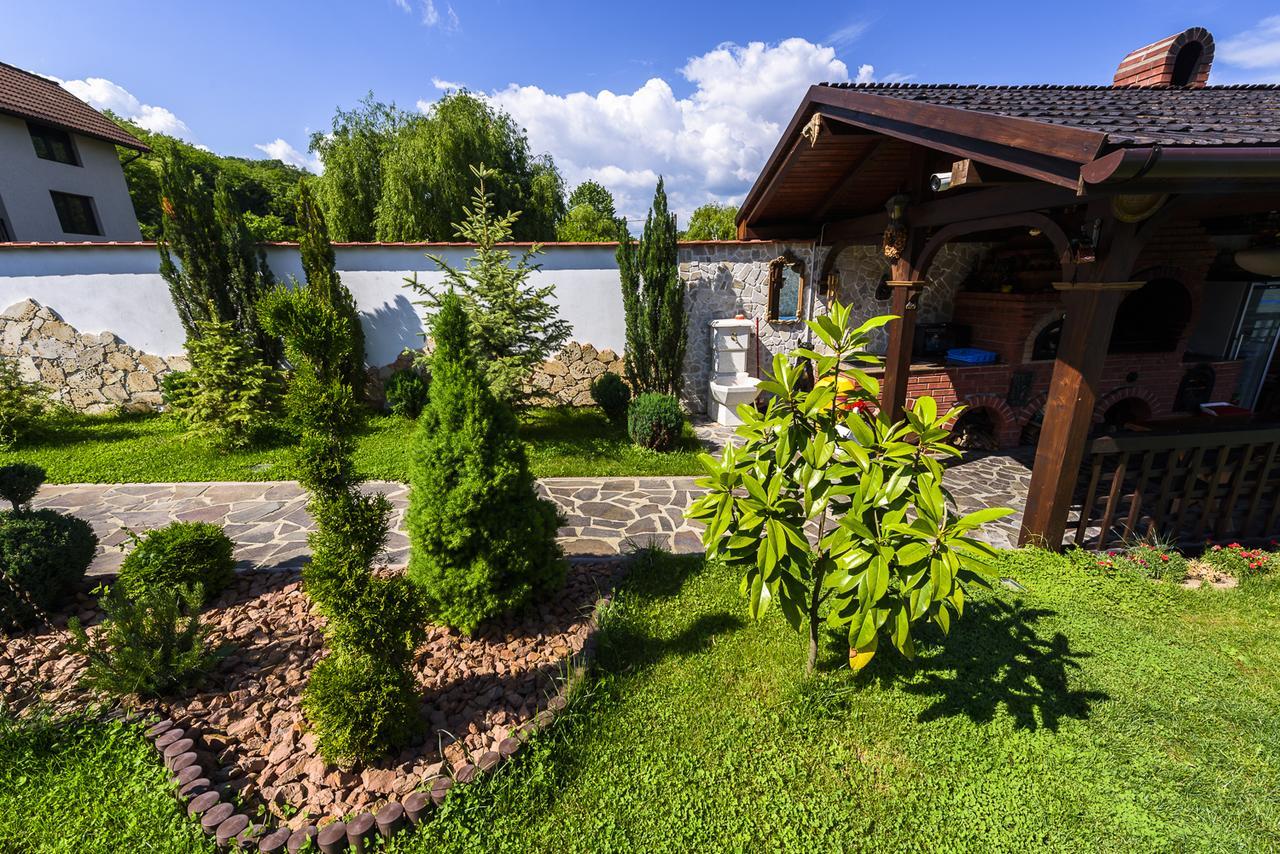 Отель Casa Andrei Оршова Экстерьер фото